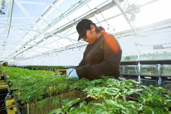 women cannabis marijuana empower